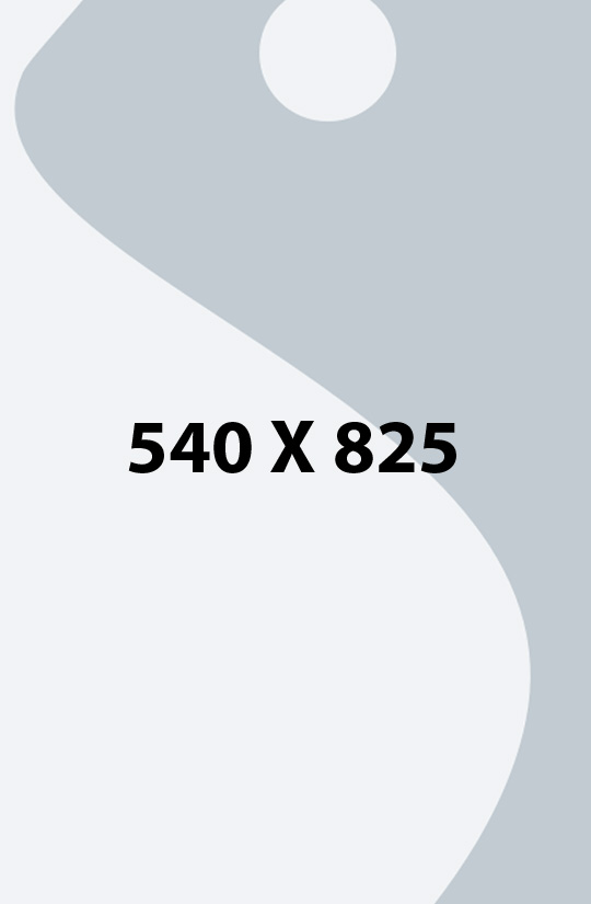 540x825-placeholder