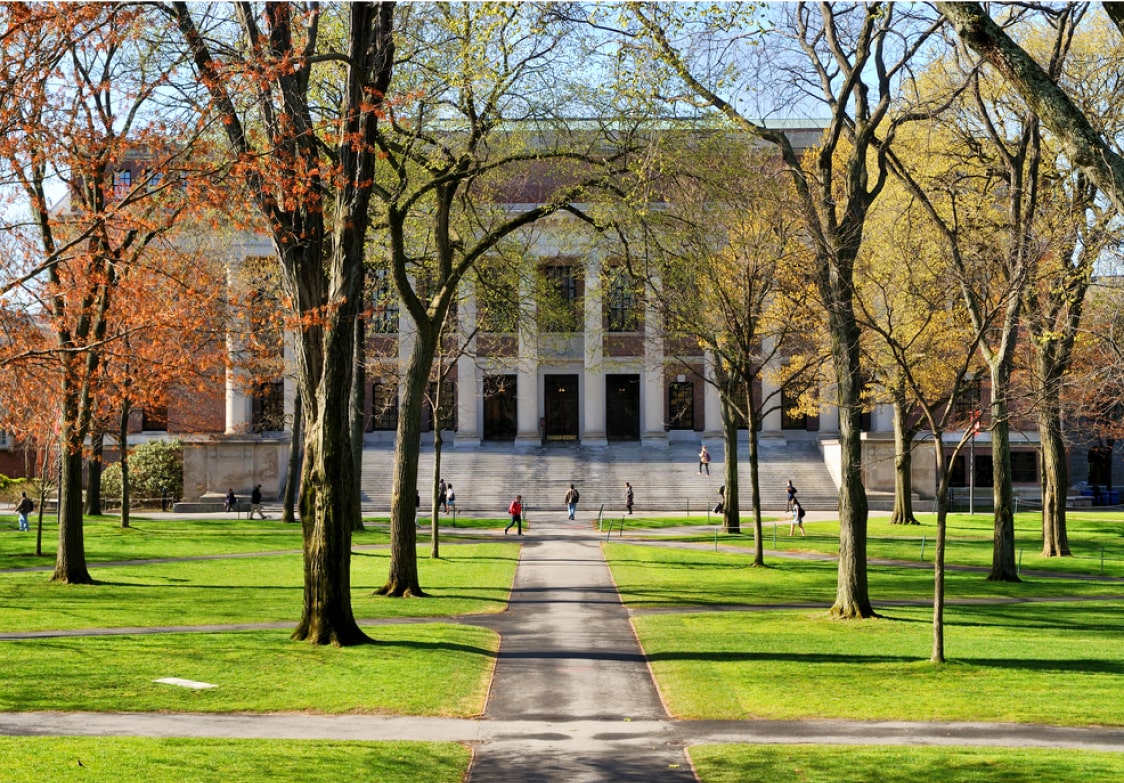 college-campus-trees